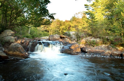 Rustic Log Cabin Rental in Adirondack Park near Lake Ontario - Brantingham, New York - glamping.directory