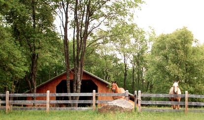 Rustic Log Cabin Rental in Adirondack Park near Lake Ontario - Brantingham, New York - glamping.directory