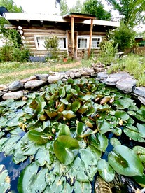 Log Casita Overlooking Pond and Waterfall near Taos, New Mexico - Taos Ski Valley, New Mexico - glamping.directory