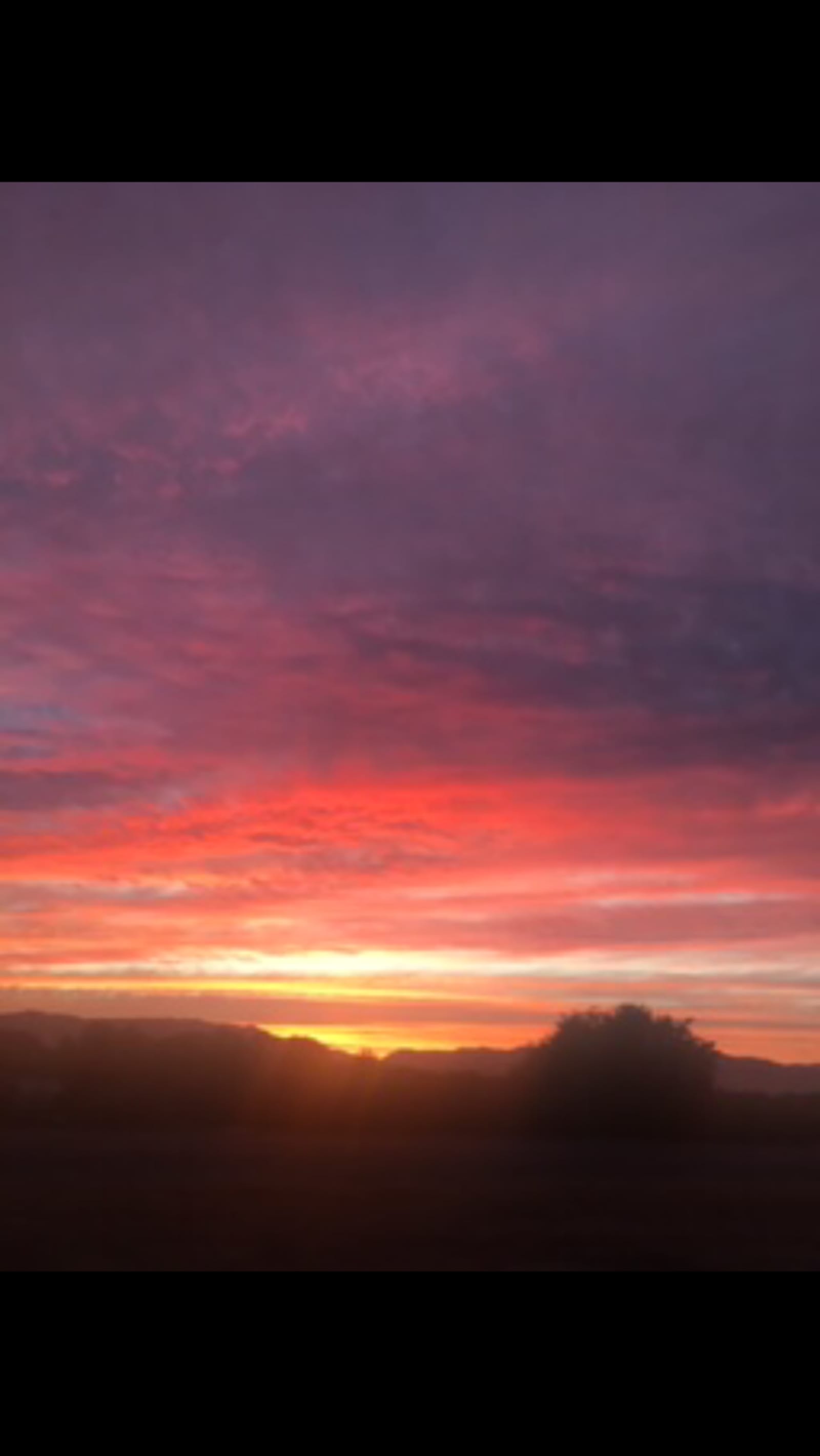 Amazing Views Await you! - Winters, California - glamping.directory