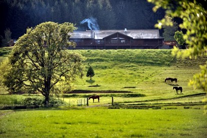 Secluded Cabin Ideal for a Romantic Getaway in the Umpqua River Valley of Oregon - Elkton, Oregon - glamping.directory