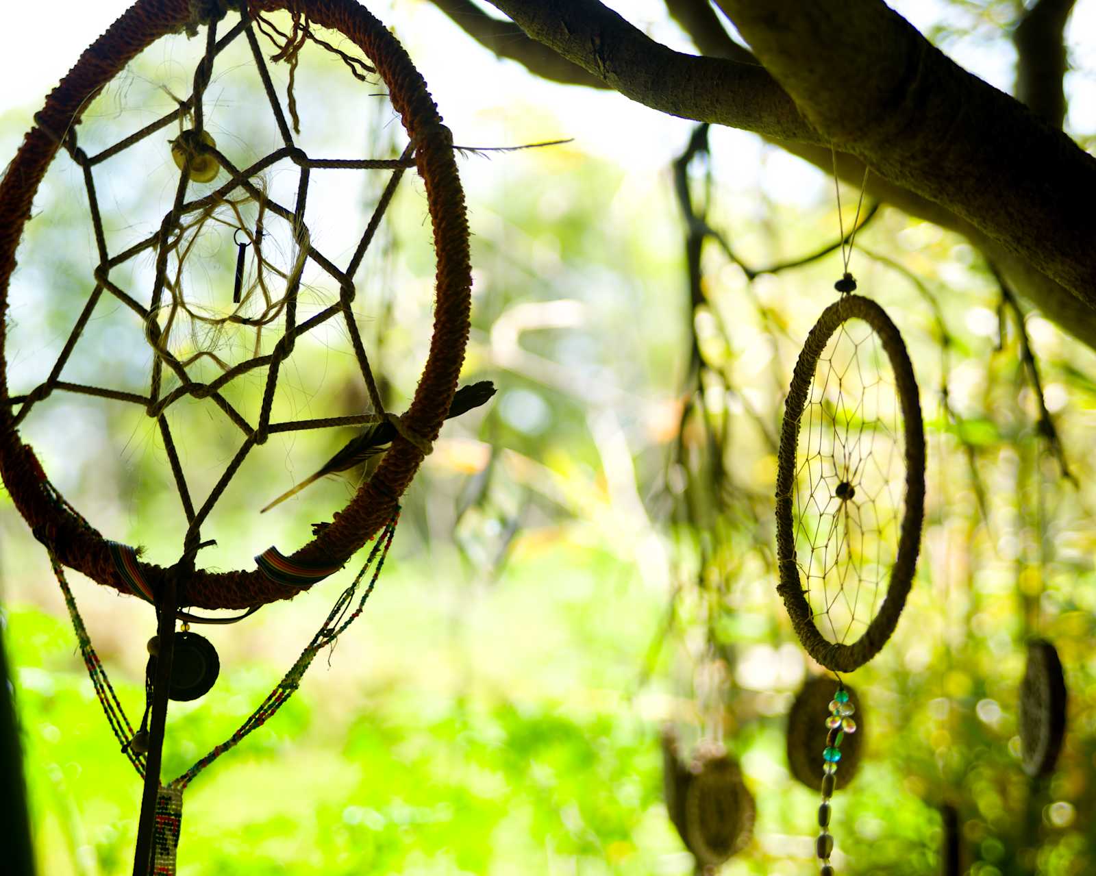 Seven Sister's Sanctuary - glamping.directory