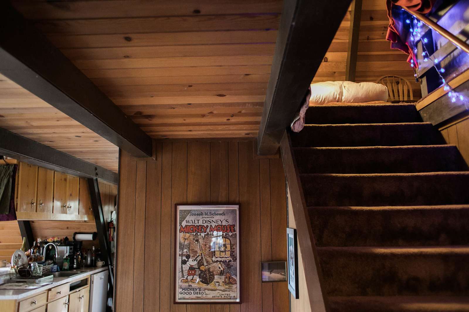 Dog Woods - Arnold, California - glamping.directory