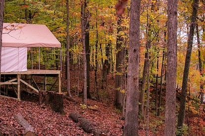 Secluded Luxury Camping Tent on Otter Lake near Girard, Illinois - North Otter Township, Illinois - glamping.directory