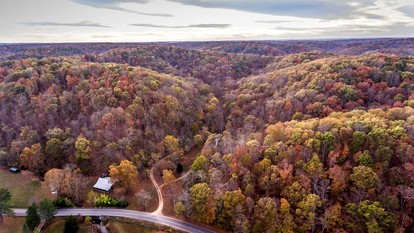 Delightful Cottage Next to Pond and Woods near Nashville, Tennessee - Franklin, Tennessee - glamping.directory