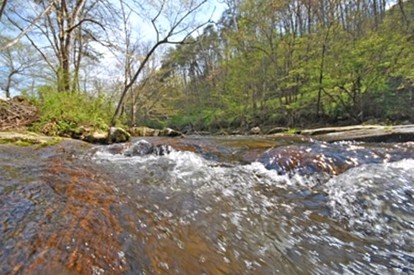 Luxury Camping Cabin near the Great Smoky Mountains in North Carolina - Bryson City, North Carolina - glamping.directory