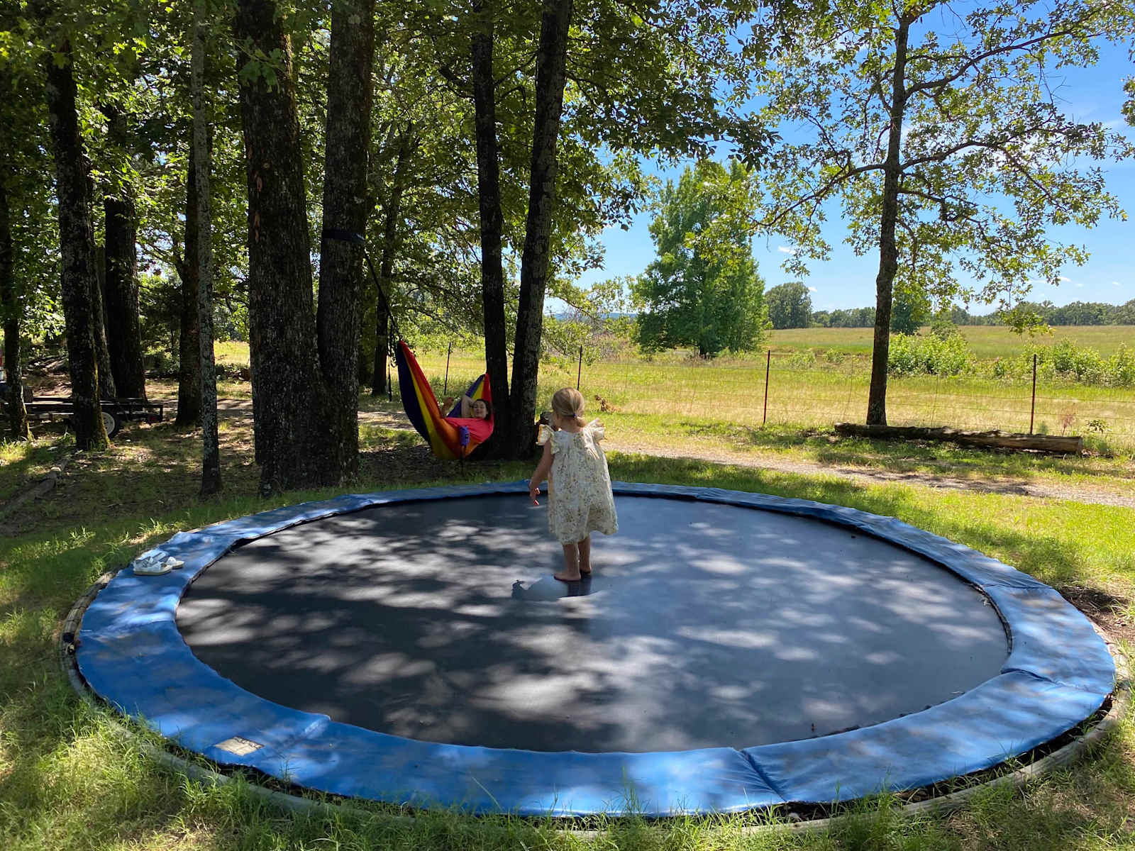 Petit Jean Farm Orchard - Morrilton, Arkansas - glamping.directory