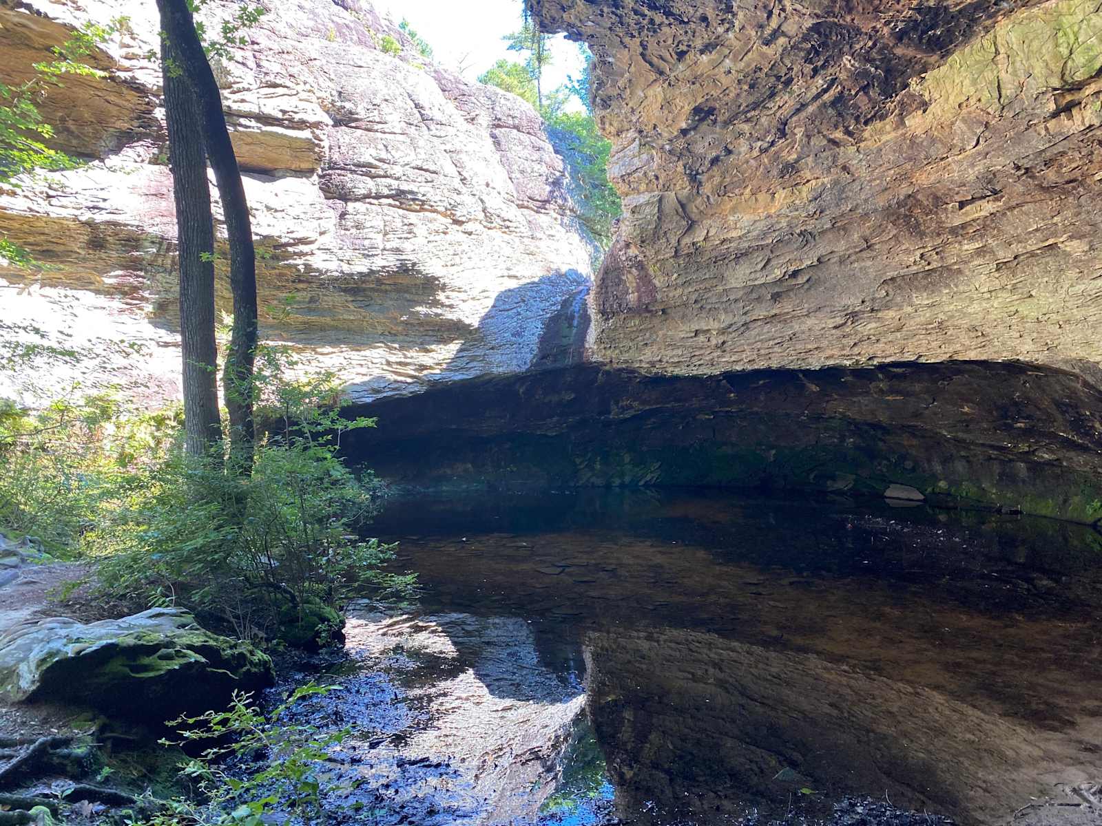 Petit Jean Farm Orchard - Morrilton, Arkansas - glamping.directory