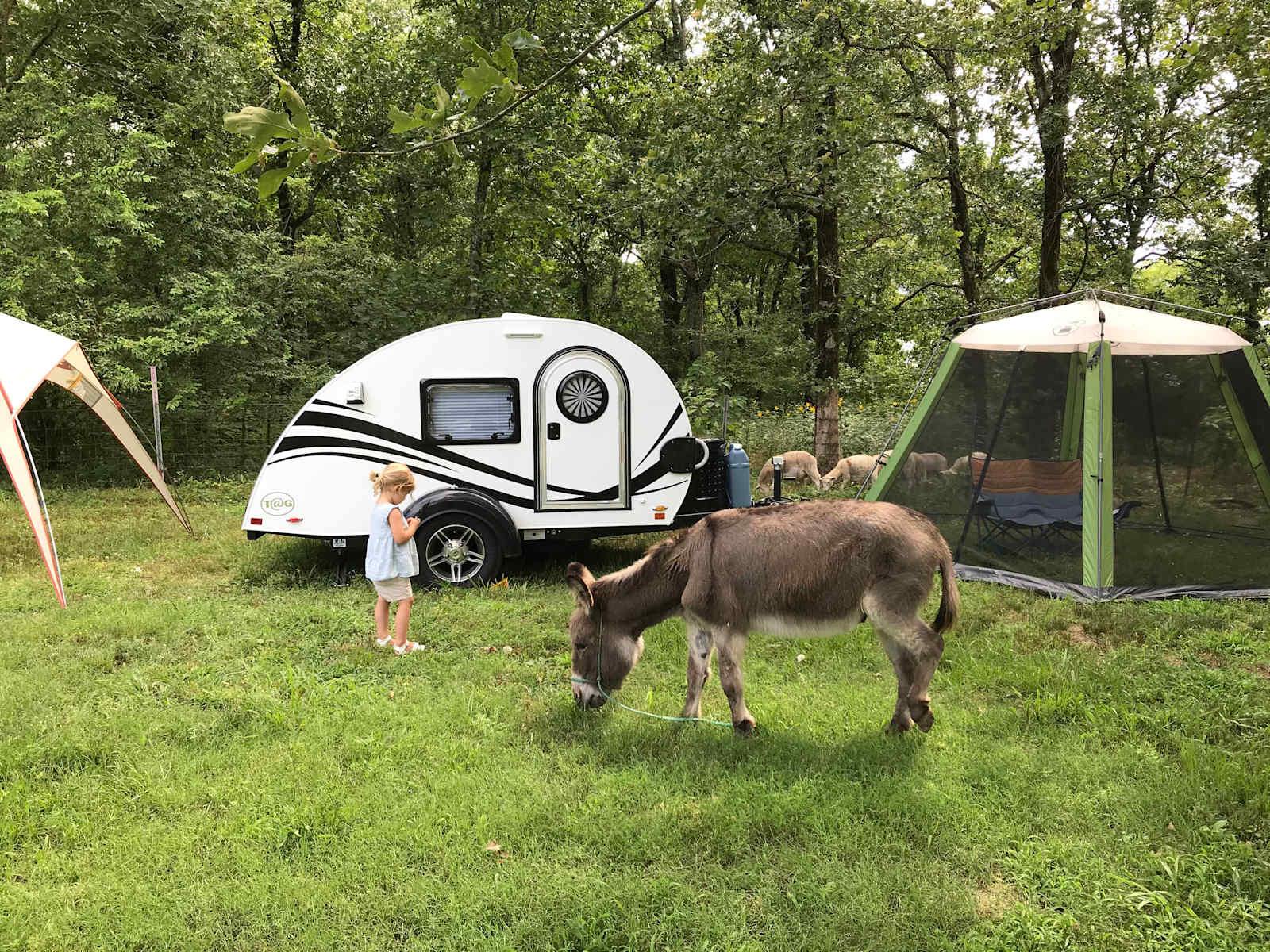 Petit Jean Farm Orchard - Morrilton, Arkansas - glamping.directory