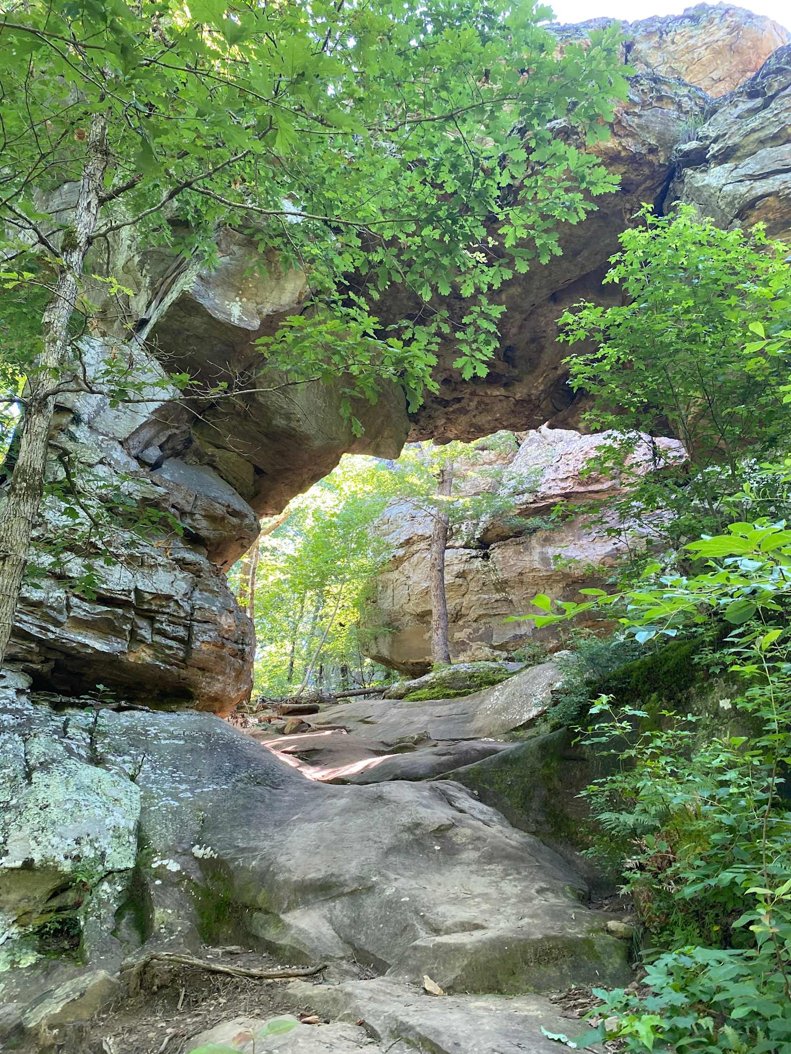 Petit Jean Farm Orchard - Morrilton, Arkansas - glamping.directory