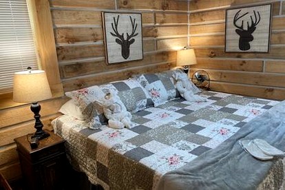 Quaint Cabin with Lofted Interior, Spa and BBQ in Indiana - Birdseye, Indiana - glamping.directory