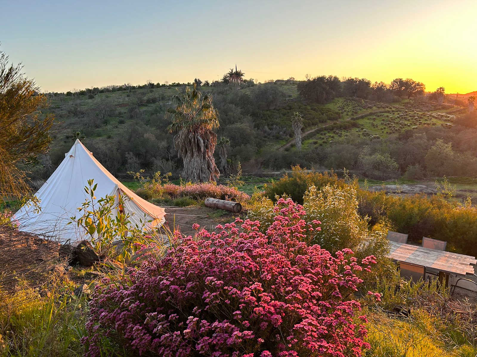 Thundering Hawk Retreat - Valley Center, California - glamping.directory