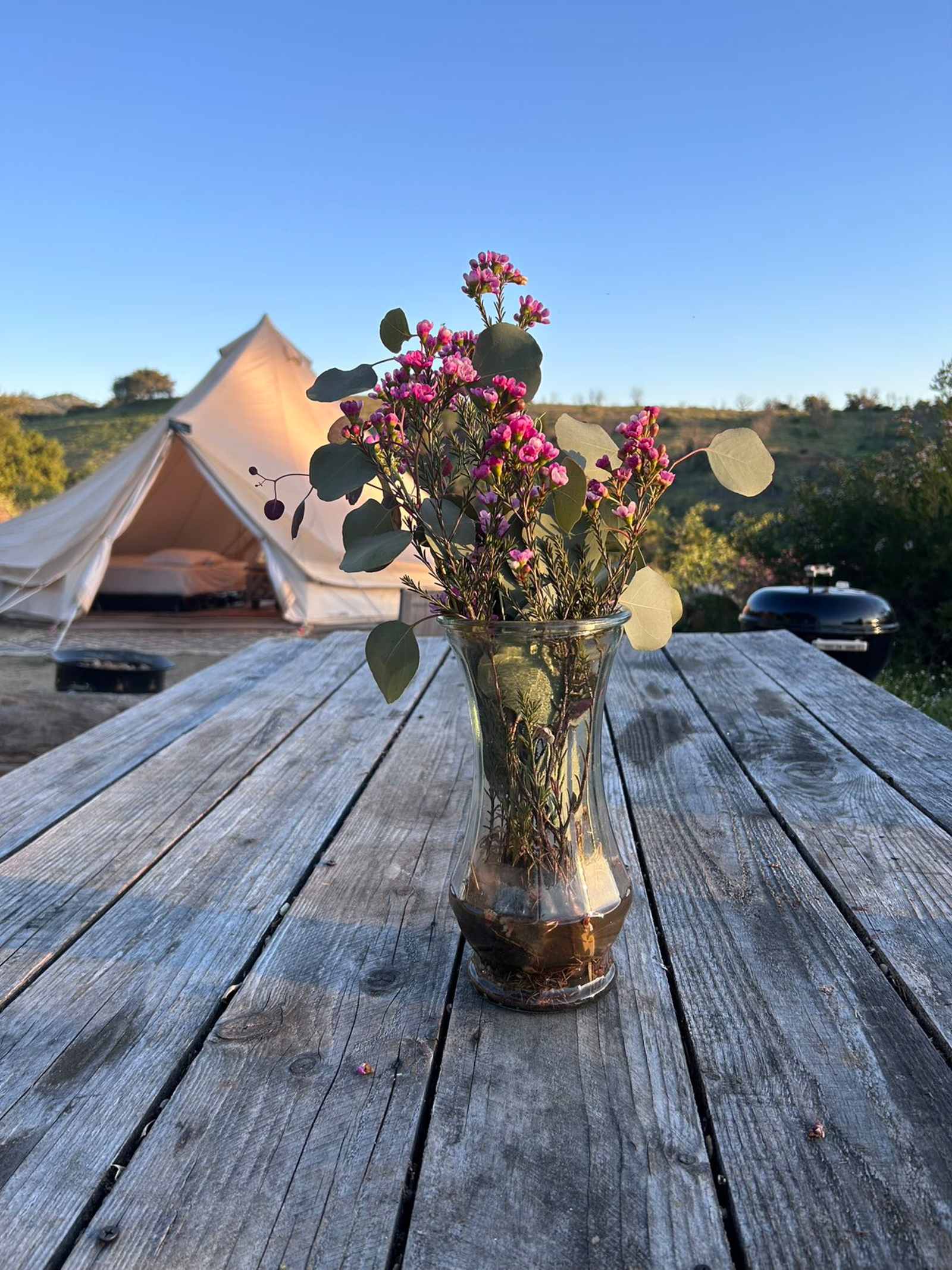 Thundering Hawk Retreat - glamping.directory
