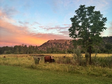 Unique Barn Cabin Rental for 15 People near Hood River, Oregon - Tygh Valley, Oregon - glamping.directory