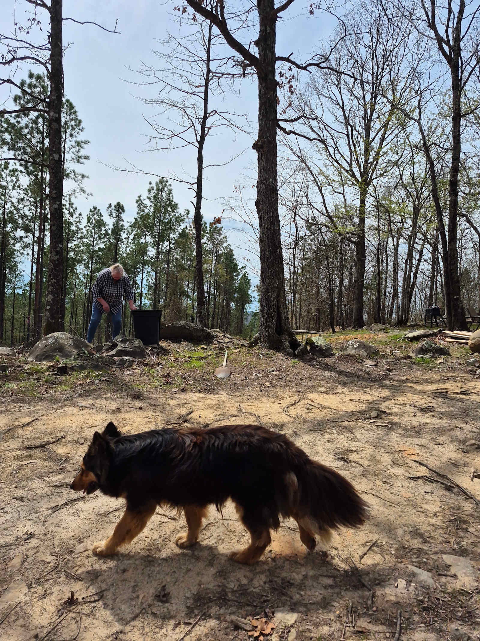 Boudreaux Run RV Park - Daisy, Arkansas - glamping.directory