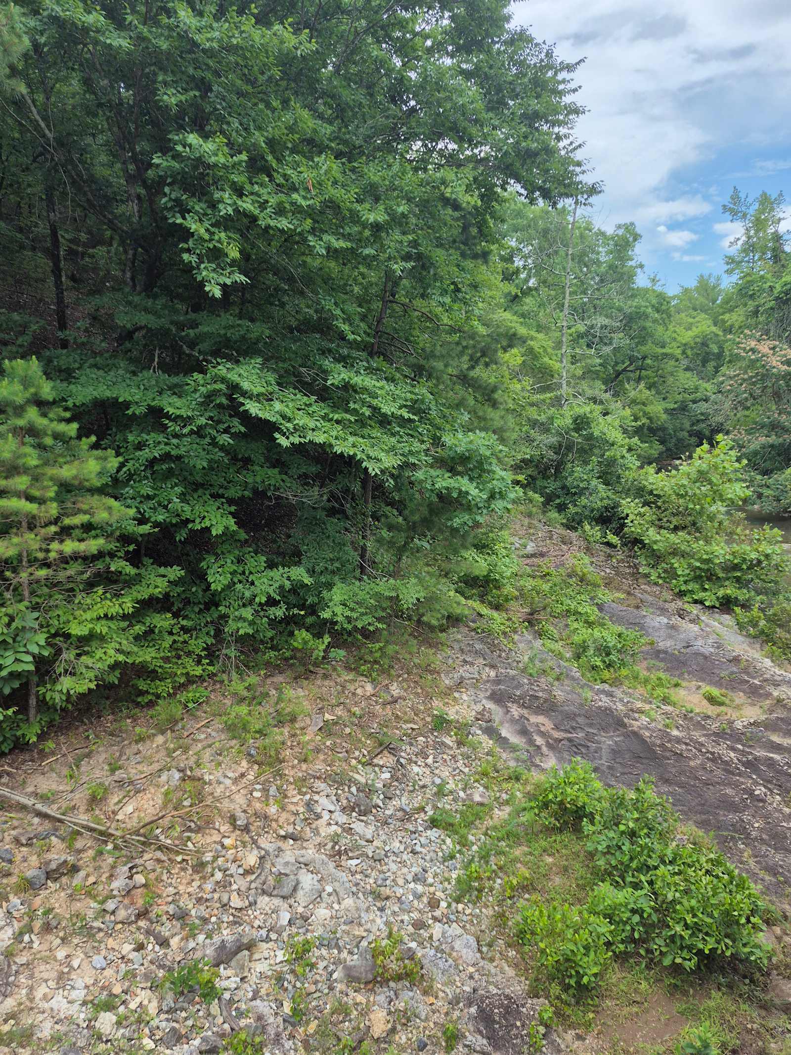 Boudreaux Run RV Park - Daisy, Arkansas - glamping.directory