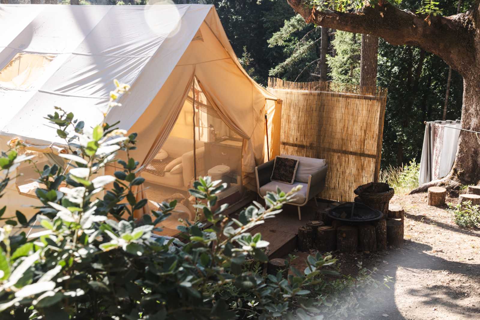 Ariana Acres - Willits, California - glamping.directory