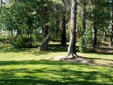 Gorgeous Cabin Rental on 10 Acres in Coeur D'Alene Mountains, Idaho - Pinehurst, Idaho - glamping.directory