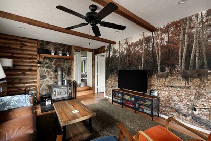 Idyllic Woodland Cabin Retreat near Lost River in West Virginia - Mathias, West Virginia - glamping.directory