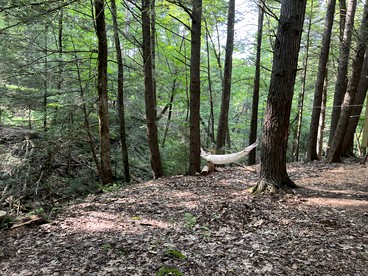 Amazing Equipped Bell Tent Nestled Among Nature in New York - Kerhonkson, New York - glamping.directory