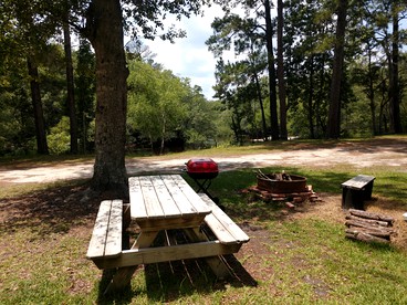Rustic Cabin Rental on the Great Satilla River near Okefenokee Swamp Park, Georgia - Brunswick, Georgia - glamping.directory