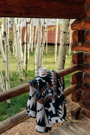 Colorado Glamping Adventures in Golden Gate Canyon Park, in this Cute Cabin Rental - Black Hawk, Colorado - glamping.directory