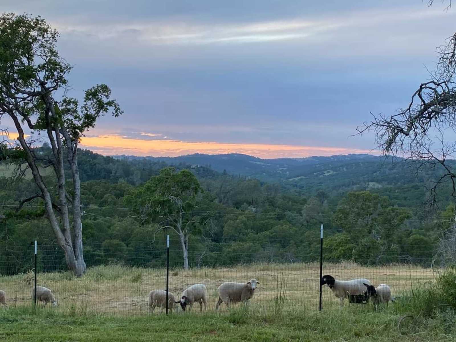 Bella Branch at SE Ranch - glamping.directory