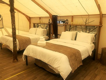 Beautiful Safari Tent near Olympic National Park for an Amazing Glamping Experience near Forks, Washington - Forks, Washington - glamping.directory