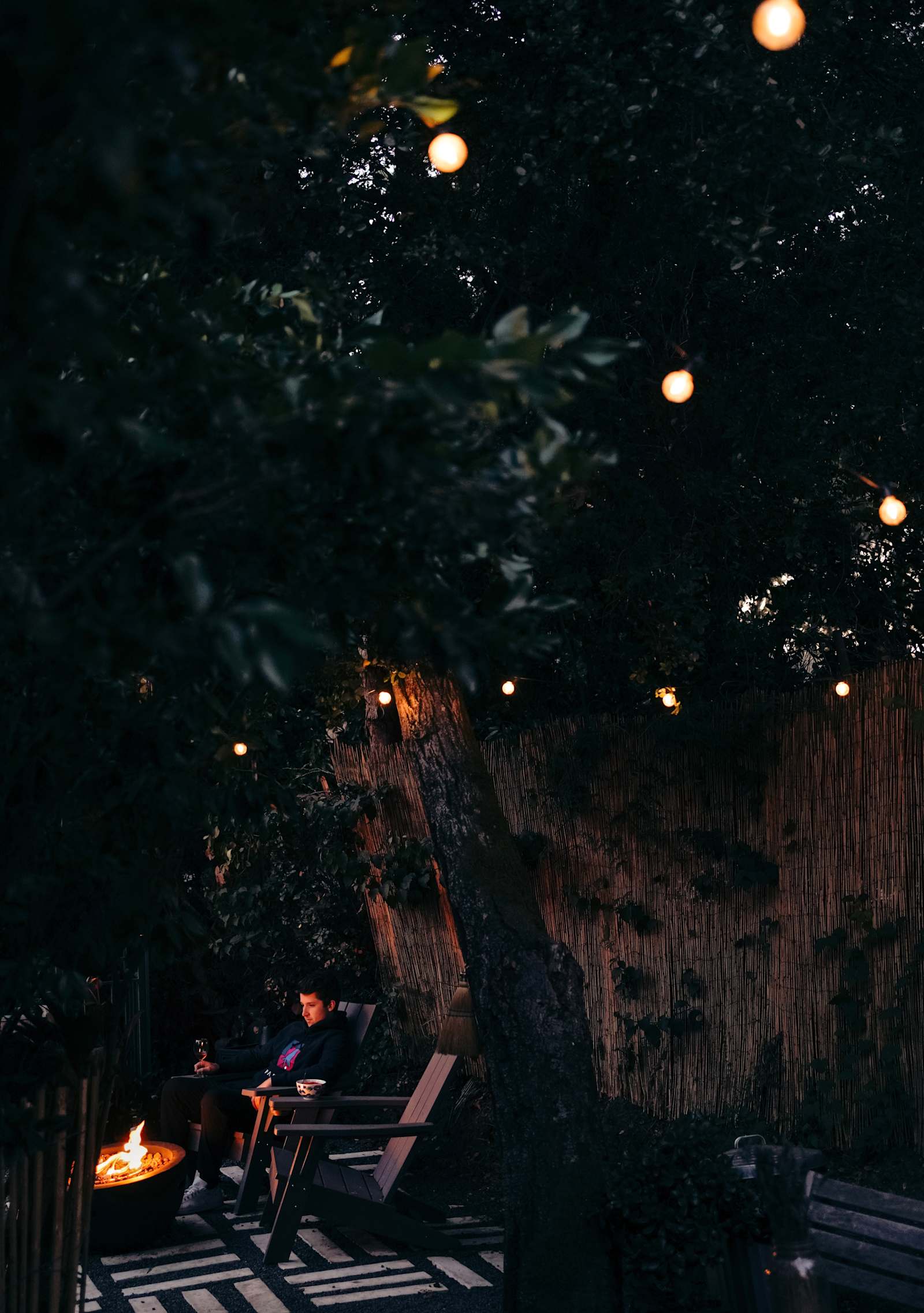 Fern Ridge Camper - Aptos, California - glamping.directory