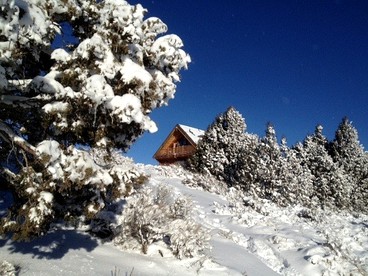 Spacious, Inviting Log Cabin Encircled by Wildlife in Utah - glamping.directory