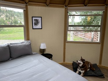 Lovely Yurt Getaway in Colorado, for Nature Escapes to South Fork - South Fork, Colorado - glamping.directory