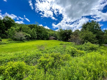 Warm & Inviting Cabin Retreat Perfect for Year-Round Escapes in Denver, New York - Denver, New York - glamping.directory