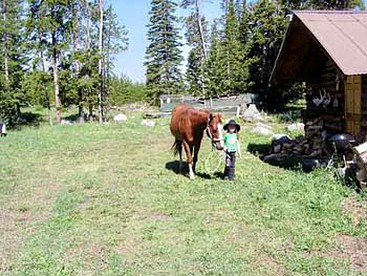 Vacation Rental with a Hot Tub in Gardiner, Montana - Gardiner, Montana - glamping.directory