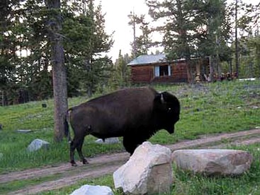 Vacation Rental with a Hot Tub in Gardiner, Montana - Gardiner, Montana - glamping.directory