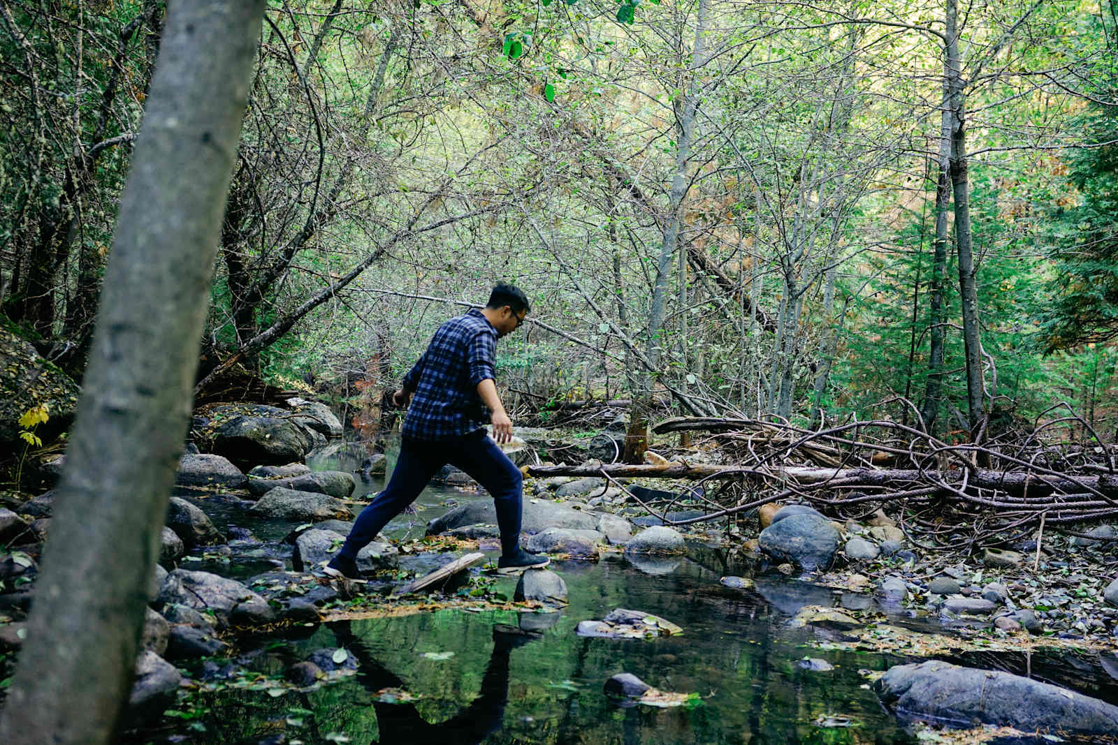Sugar Pine Springs Resort - Somerset, California - glamping.directory