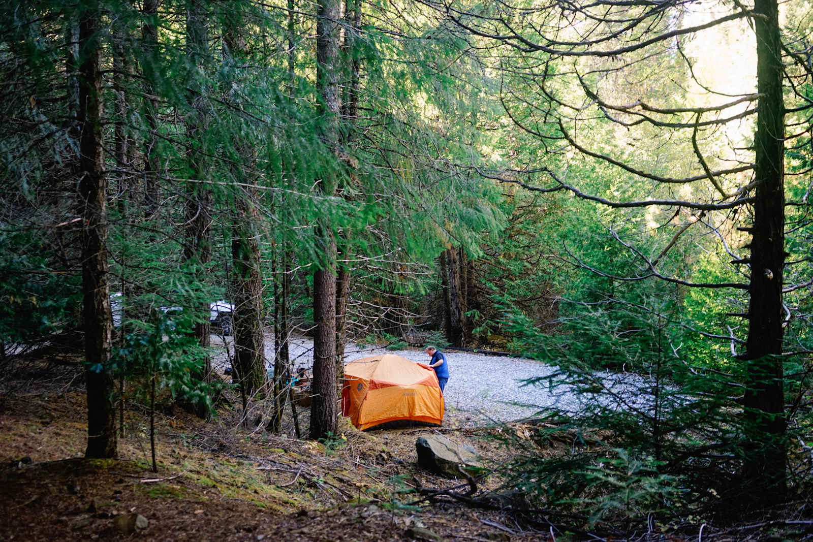 Sugar Pine Springs Resort - glamping.directory