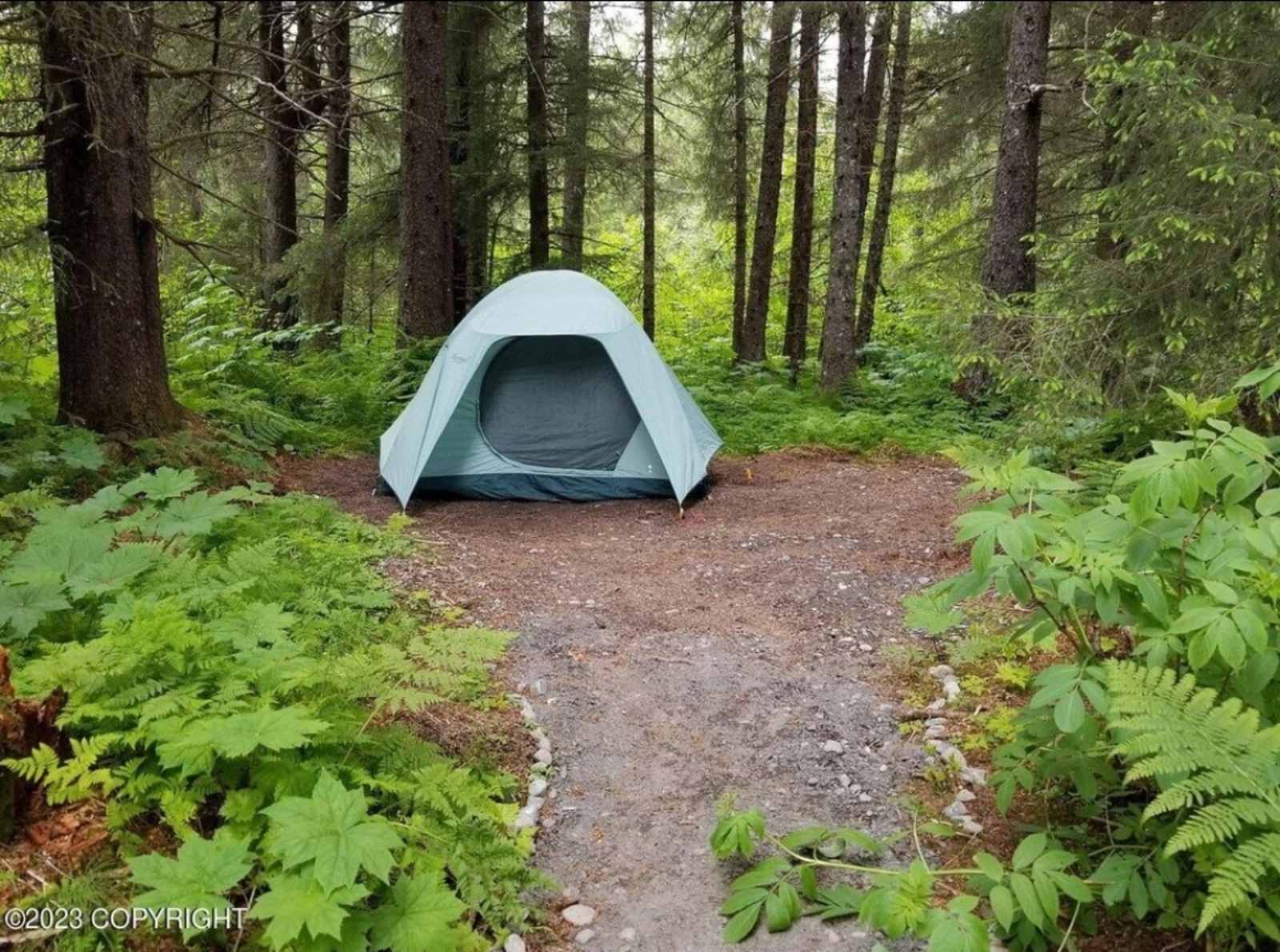 Bear Necessities Cottages - glamping.directory