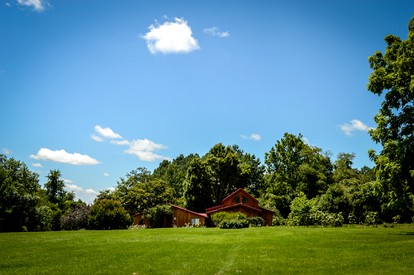 Charming and Secluded Woodland Cottage Rental near the Shenandoah Valley, Virginia - Madison, Virginia - glamping.directory