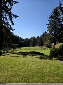 Cozy Tiny Cabin on a Peaceful Ranch, the Perfect Base for Outdoor Adventures on Vashon Island near Seattle, Washington - Vashon, Washington - glamping.directory