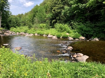 Unique Tiny Teardrop Camper for a Cozy Romantic Getaway in the Forest by the River in Jacksonville, Vermont - Jacksonville, Vermont - glamping.directory
