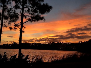 Idyllic Waterfront Rental with Shared Pool Access in Jupiter, Florida - Jupiter, Florida - glamping.directory