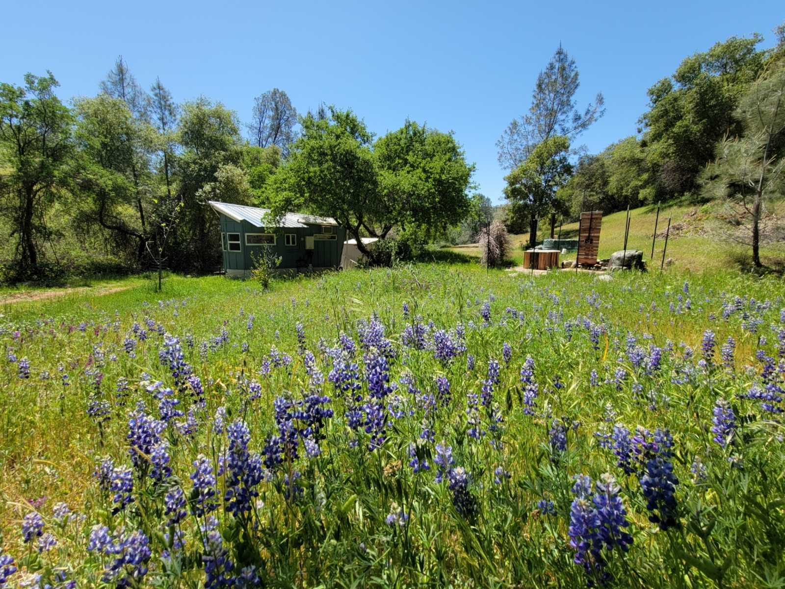 Perfect Getaway with Private Creeks - Smartsville, California - glamping.directory