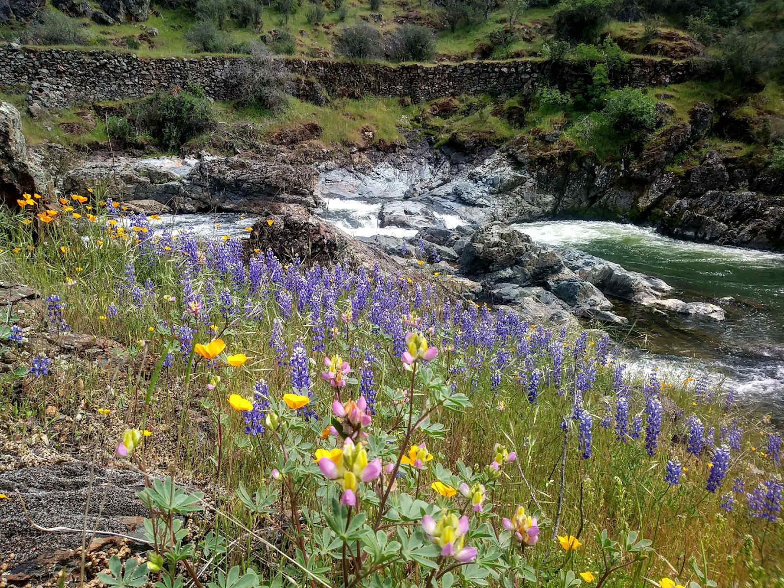 Perfect Getaway with Private Creeks - glamping.directory