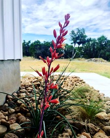 Charming Cabin for Glamping Vacations in Wimberley, Texas - Wimberley, Texas - glamping.directory