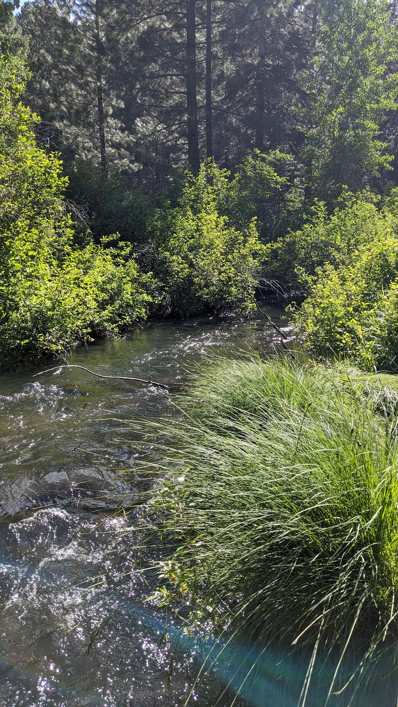 The Retreat on Big Grizzly Creek - Beckwourth, California - glamping.directory