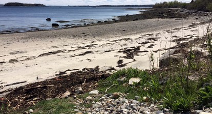 Rustic Cabin on Sturdivant Island with Views of Casco Bay in Falmouth, Maine - Falmouth, Maine - glamping.directory