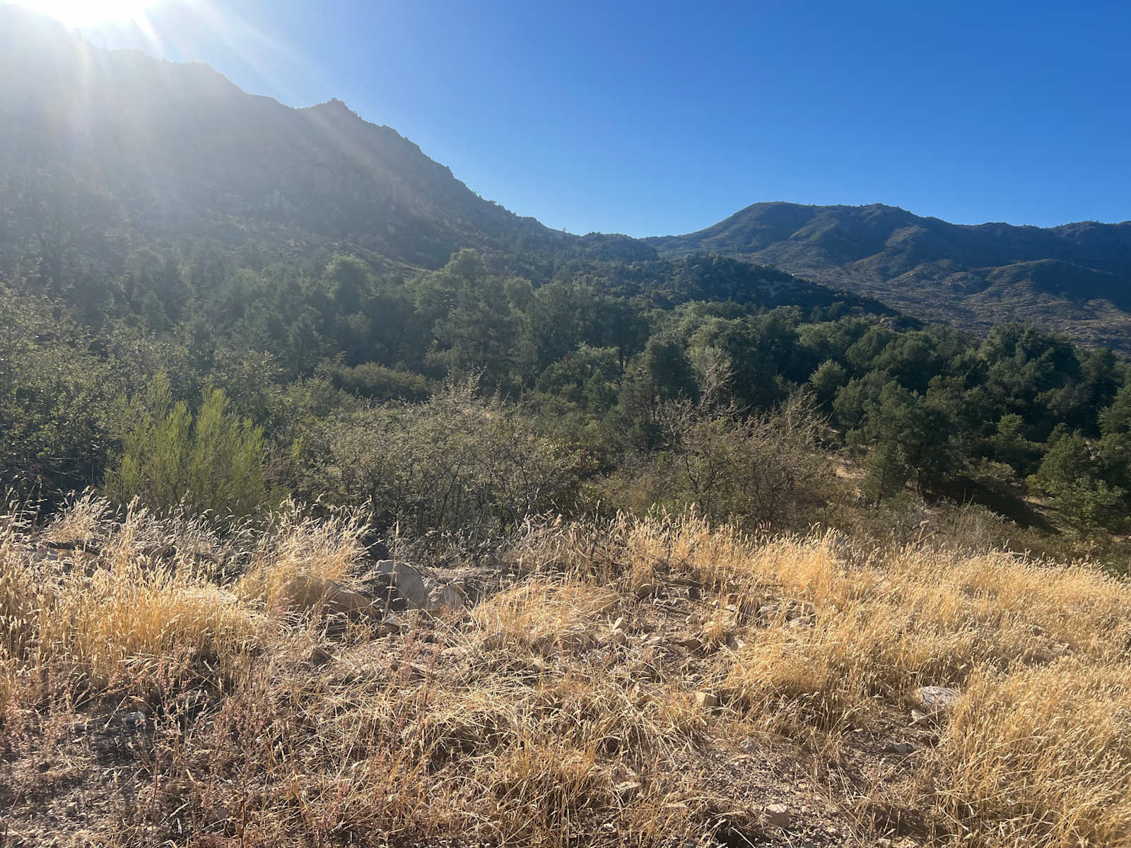 Top of the World RV Stop - Miami, Arizona - glamping.directory