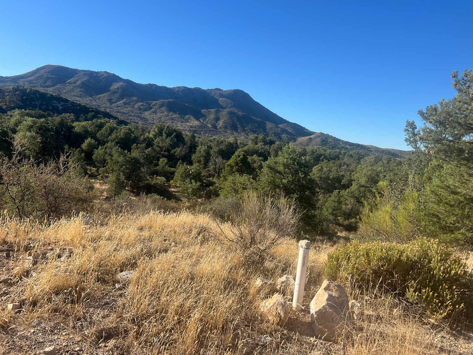 Top of the World RV Stop - glamping.directory