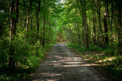 Private Romantic Getaway with Fireplace and Lovely Forest Views in Holland, Michigan - Holland, Michigan - glamping.directory