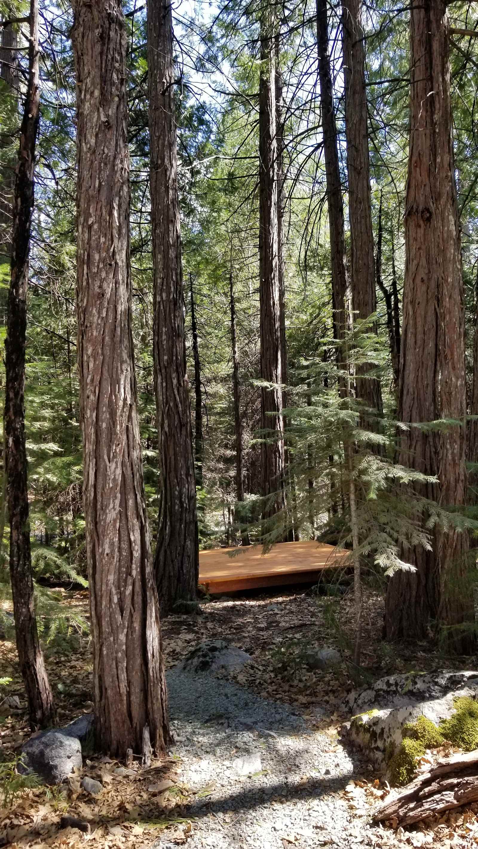 Bright Bear Camp in Tahoe NF - Nevada City, California - glamping.directory
